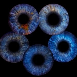 Gutschein für 5 x Irisfotografie (5 Iriden)