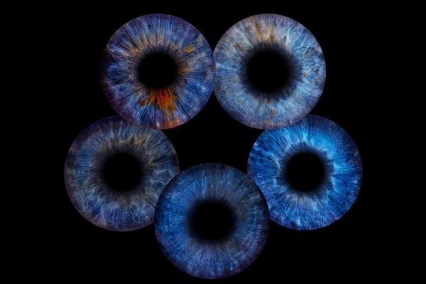 Gutschein für 5 x Irisfotografie (5 Iriden)