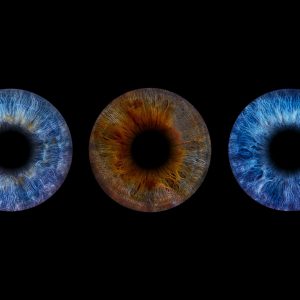 Gutschein für 3 x Irisfotografie (3 Iriden)