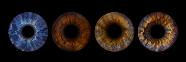 Gutschein für 4 x Irisfotografie (4 Iriden)