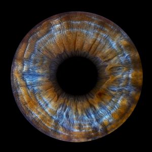 Gutschein für 1 x Irisfotografie (1 Iris)