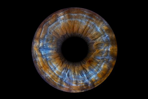 Gutschein für 1 x Irisfotografie (1 Iris)