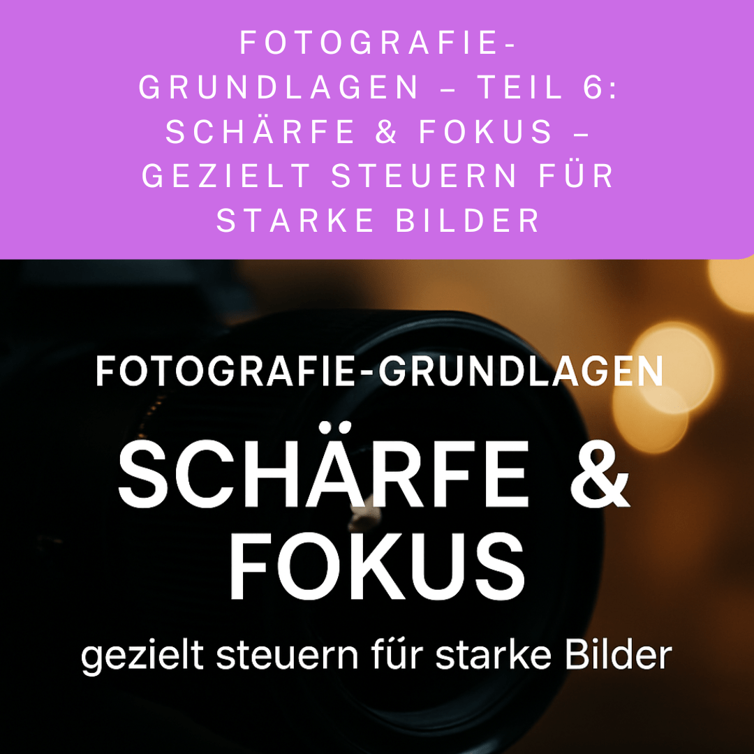 Fotografie-Grundlagen – Teil 6: Schärfe & Fokus – gezielt steuern für starke Bilder