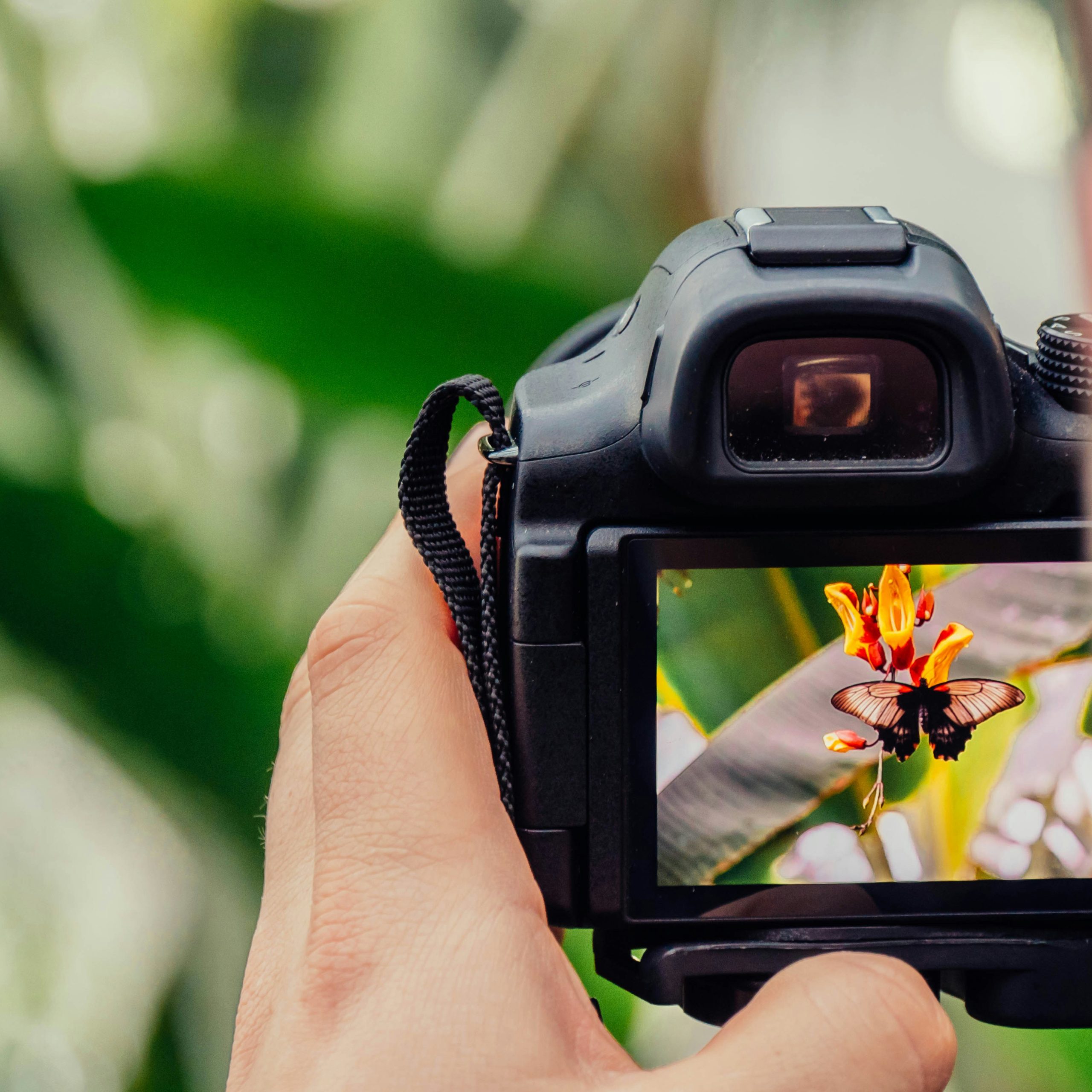 Fotografie-Grundlagen – Teil 7: Belichtungsmessung & Weißabgleich – natürliche Helligkeit und echte Farben
